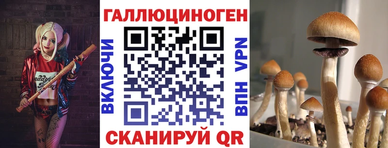 Псилоцибиновые грибы GOLDEN TEACHER  блэк спрут зеркало  Киренск 